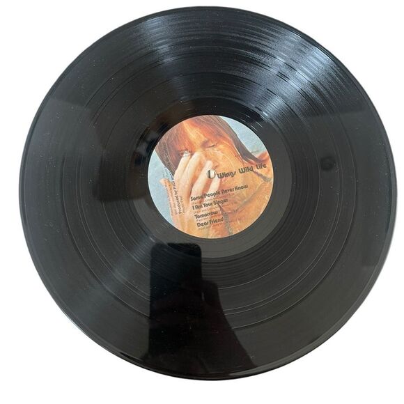 VINTAGE PAUL MCCARTNEY AND WINGS WILD LIFE 1971 12” VINYL RECORD - Picture 6 of 8